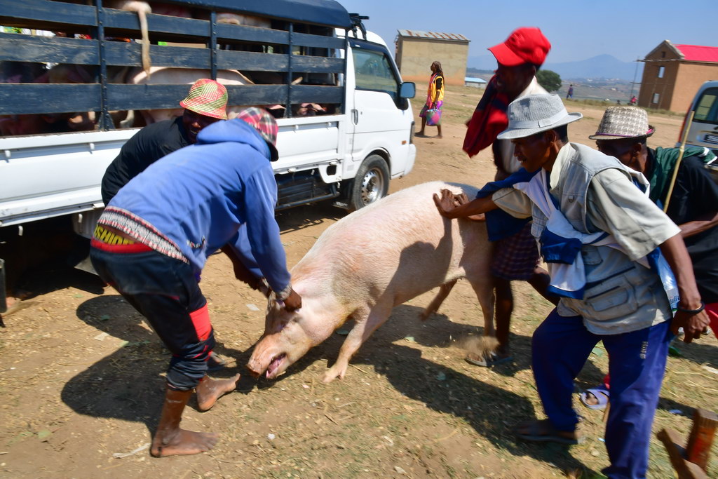 Fianarantsoa to Ambositra